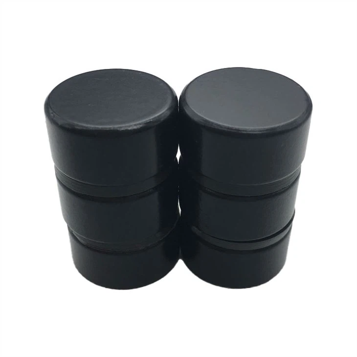 Parylene Coated Magnet-4